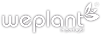 Logo Branco Peq